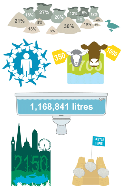 infographics for the Wildfowl Wetland Trust